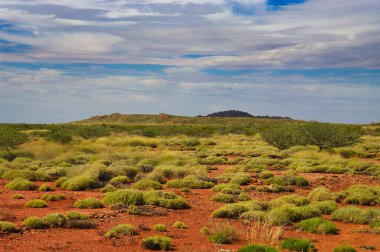 Nanutarra ve Tom Price, Pilbara bölgesi, Batı Avustralya arasındaki uzak bölgede spinifex, alçak çalılar ve kırmızı toprak ile taşra manzarası