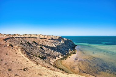 Eagle Bluff, Shark Bay, Denham, Batı Avustralya kıyısındaki kayalıklar. Sığ deniz köpekbalıklarını, vatozları ve kaplumbağaları gözlemlemek için harika bir yerdir..