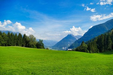 The deep valley of the Brandnertal near the town of Brs, Vorarlberg, Austria, flanked by hight mountains. Green Alpine meadow in the foreground clipart