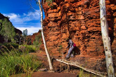 Olağanüstü Kalamina Vadisi 'nin dibinde dar bir tepede yürüyen kadın, Karijini Ulusal Parkı, Batı Avustralya, bantlı demirtaşı oluşumunda bir kanyon.