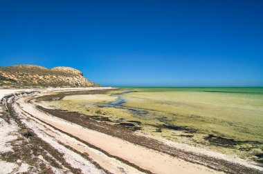 The remote coast at Whale Bone Point, Shark Bay, Denham, Western Australia. Beach, shallows and coastal hills. clipart