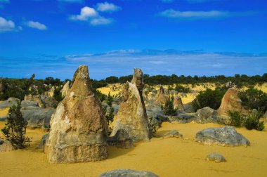 Pinnacles, Batı Avustralya 'nın orta batı kıyısındaki Nambung Ulusal Parkı' ndaki kayan kum tepelerinin kireçtaşı sütunları.