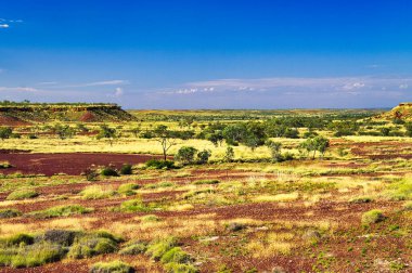 Batı Avustralya 'nın kuzeyindeki Halls Creek ve Wyndham arasındaki bölgede alçak tepeler, dağınık ağaçlar ve kırmızı topraklarla Savanna manzarası.