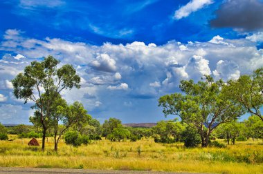 Dağınık ağaçlar, termit tepeleri ve Batı Avustralya 'nın kuzeyindeki Halls Creek ile Wyndham arasında geniş bulutlu bir alan.