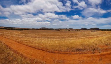 Geraldton ve Northampton arasında Batı Avustralya Buğday Kemeri 'nin kuzey kesiminde karakteristik manzara manzarası. Beyaz bulutlu mavi gökyüzünün altında yuvarlanan tarlalar ve çorak tepeler.