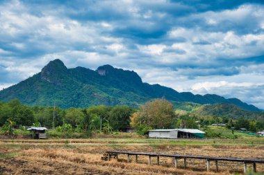 Ploughed rice paddies, a wooden boardwalk, farm buildings and the foothills of Phu Hin Rong Kla National Park, Lom Sak area, province of Phetchabun, Thailand clipart