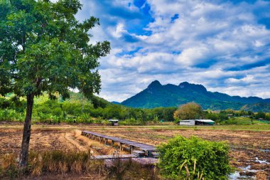 Pirinç tarlaları, tahta kaldırımlar, çiftlik binaları ve Phu Hin Rong Kla Ulusal Parkı 'nın etekleri, Lom Sak bölgesi, Tayland Phetchabun ili.