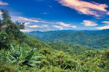 Tayland 'ın Phetchabun ilindeki tropikal Tat Mok Ulusal Parkı' nın yoğun ormanlık tepelerinin manzarası.