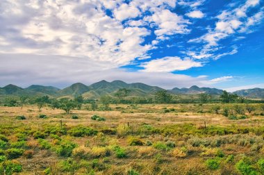 The southern foothills of the Flinders Ranges, between Port Augusta and Mount Remarkable, South Australia, rise up from an arid plain with dry grasses and small trees clipart