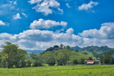 Avcı Bölgesi, Yeni Güney Galler, Avustralya 'da yeşil çayırlar, yuvarlanan tepeler, bir ahır, ağaçlar ve yaz bulutlarıyla kırsal alan