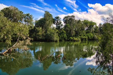 Roper Nehri, Avustralya 'nın kuzeyindeki Mataranka, Elsey Ulusal Parkı' nın yemyeşil tropikal yağmur ormanlarından akar. Sudaki ağaçların yansıması.