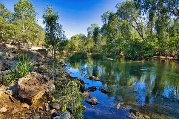 Bitter Springs, tropikal Elsey Ulusal Parkı, Mataranka, Kuzey Bölgesi, Avustralya 'da bir termal kaynak.