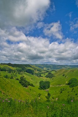 Tipik Yeni Zelanda manzarası, Pauatahanui, Porirua, Büyük Wellington, Kuzey Adası, Yeni Zelanda 'da gökyüzü altında beyaz bulutlu yeşil tepeler.