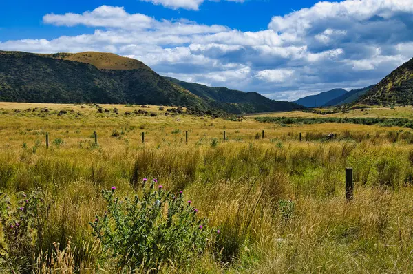 Baring Head yakınlarındaki Wainuiomata Nehri vadisinde çayırlar ve tepeler, Doğu Liman Bölgesel Parkı, Greater Wellington, Yeni Zelanda