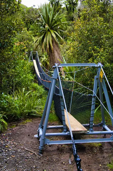 Taranaki 'nin yamaçlarındaki bulut ormanında dar bir salıncak köprüsü, Yeni Zelanda' nın Kuzey Adası 'ndaki bir volkan. Cin Ormanı denen yerde Büyülü Yol 'un bir parçası.