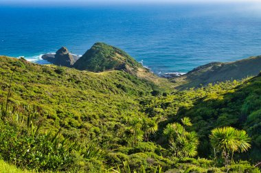 Cape Reinga manzarası ve Yeni Zelanda 'nın kuzeyindeki Cape Island' a uzanan yeşil yamaç. Pelerin Maori nüfusu için büyük manevi öneme sahiptir.