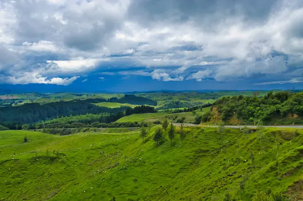 Manawatu bölgesinde, Kuzey Adası, Yeni Zelanda, Fielding yakınlarındaki çayırlarda ve ormanla kaplı tepelerde. Kara bulutlu ve tehditkar yağmurlu dramatik gökyüzü