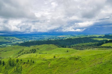 Dağılmış koyunları ve ormanı olan yeşil tepeler, geniş vadi ve arka planda karanlık tepeler, karanlık ve bulutlu gökyüzü. Manawatu bölgesi, Kuzey Adası, Yeni Zelanda 'ya yakın..
