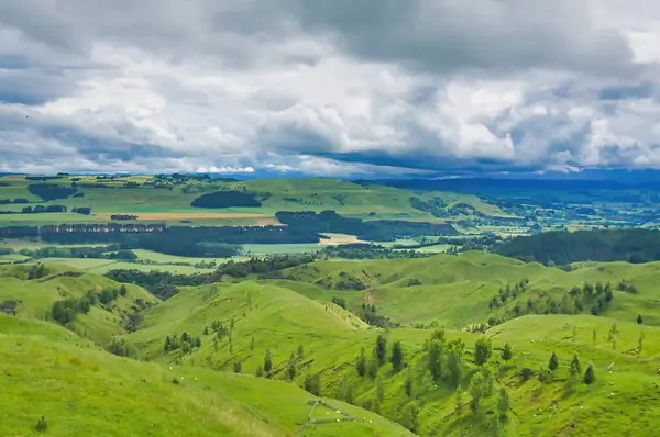 Dağılmış koyunları ve ormanı olan yeşil tepeler, geniş vadi ve arka planda karanlık tepeler, karanlık ve bulutlu gökyüzü. Manawatu bölgesi, Kuzey Adası, Yeni Zelanda 'ya yakın..