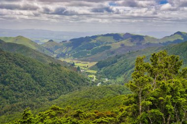 Tararua Orman Parkı, Wairarapa bölgesi, Kuzey Adası, Yeni Zelanda 'daki Rocky Gözcüsü' nden Holdsworth Vadisi manzarası.