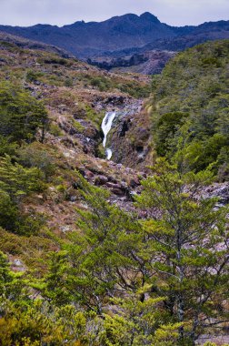 Yeni Zelanda 'nın en yüksek volkanı olan Ruapehu Dağı' nın kayalık batı yamacında Tongariro Ulusal Parkı 'nda bir Dünya Mirası bölgesi olan.