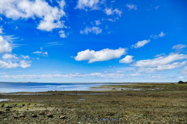 Avustralya 'nın Tazmanya kentinin en kuzeybatısındaki Montagu, Circular Head' deki ücra çakıl taşı sahili. Ufukta Robbins Adası (solda) ve volkanik tıpa Sanley 'deki Fındık (ortada))