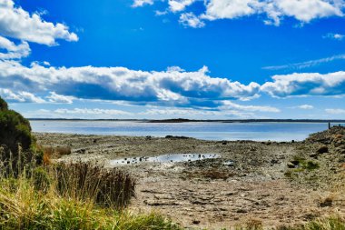 Avustralya 'nın Tazmanya kentinin kuzeybatısındaki Montagu, Circular Head' deki uzak gelgit sahili. Bass Boğazı 'ndaki Robbins Adası' na