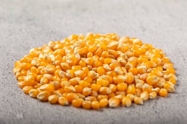 Kurutulmuş mısır. Patlamış mısır için çiğ mısır..