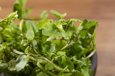 Masadaki yeşil su teresi..