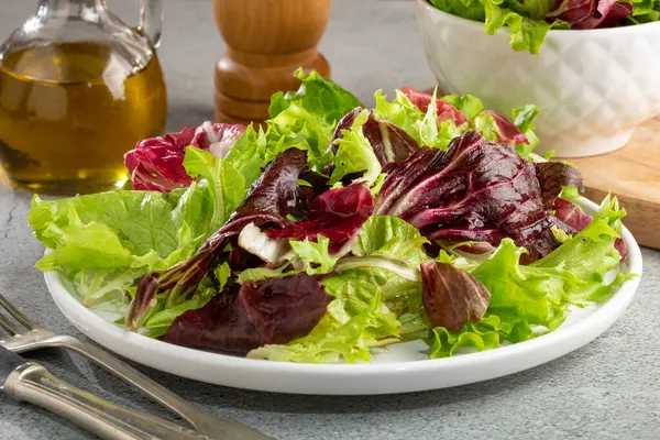 Gesunde Frische Salatmischung Blattsalat — Stockfoto