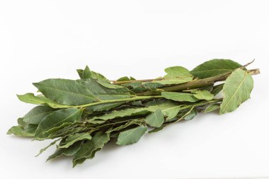 Körfez yaprakları beyaz arkaplanda izole.