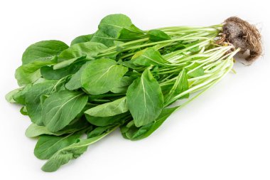 Hidroponik roka beyaz arka planda izole edilmiş. Arugula.