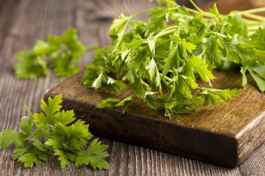 Masada taze İtalyan maydanozu var. Yeşil maydanoz.