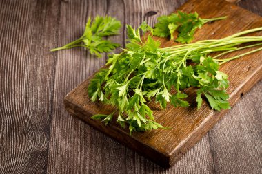 Masada taze İtalyan maydanozu var. Yeşil maydanoz.