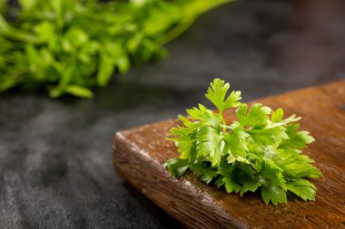 Masada taze İtalyan maydanozu var. Yeşil maydanoz.