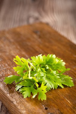 Masada taze İtalyan maydanozu var. Yeşil maydanoz.