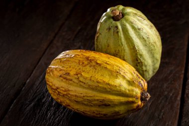 Masadaki olgun kakao meyvesi.