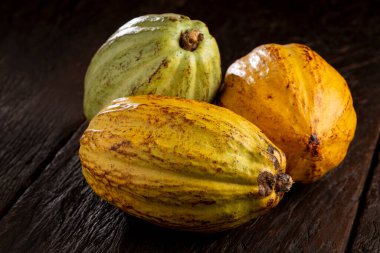 Masadaki olgun kakao meyvesi.