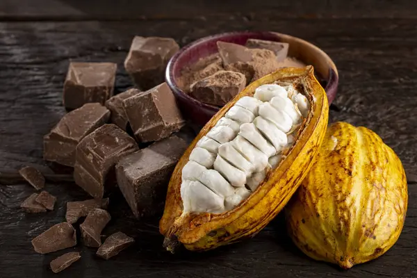Çikolata Parçalı Kakao Masaya Çikolata Tozu — Stok fotoğraf