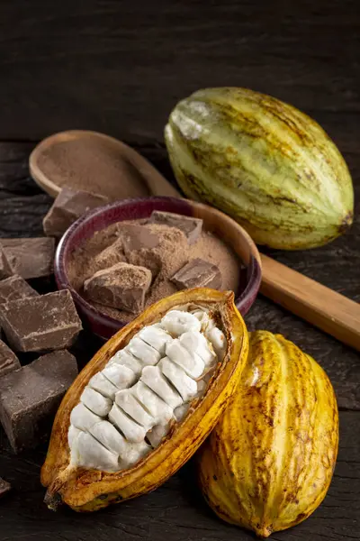 Kakao Kousky Čokolády Čokoládovým Práškem Stole — Stock fotografie