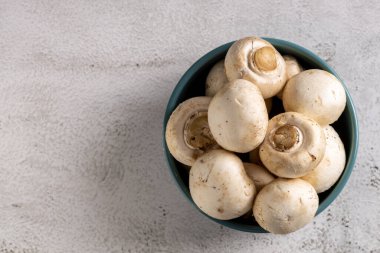 Masada taze mantarlar var..