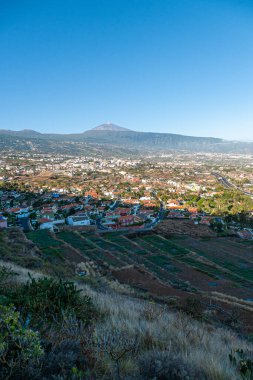 Muz tarlalarının güzel vadisinde bulunan La Orotava tarihi kasabasının manzarası ve manzarasına bakın..