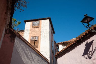 Muz tarlalarının güzel vadisinde bulunan La Orotava tarihi kasabasının manzarası ve manzarasına bakın..