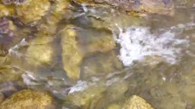 Avusturya, Viyana yakınlarında ilkbaharın başlarında su akıntısı