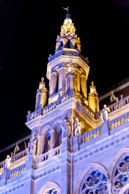 Viyana mimarisi ve sokak hayatı üzerine gece görüşü suni ışıkla