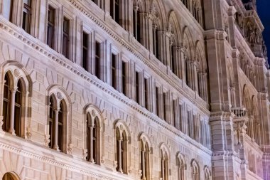 Viyana mimarisi ve sokak hayatı üzerine gece görüşü suni ışıkla