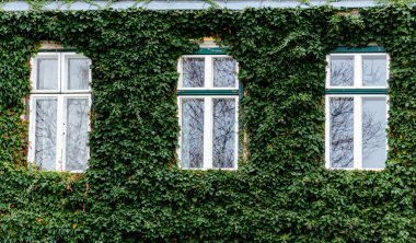 Avusturya 'nın başkenti Tulln' de belediye binasının çevresine bir göz atın.