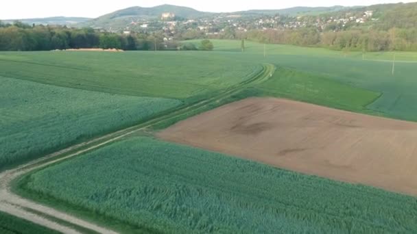 Zburând Câmpul Verde Timpul Verii Austria — Videoclip de stoc