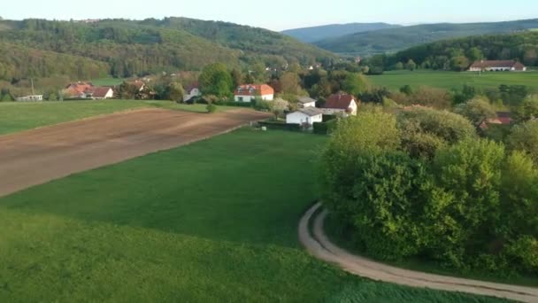 Vliegen Het Groene Veld Tijdens Zomer Oostenrijk — Stockvideo