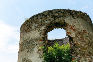 Yazın Ruine Raipoltenbach 'ı seyret